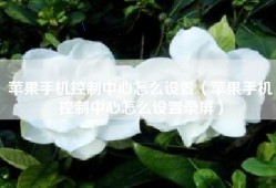 苹果手机控制中心怎么设置（苹果手机控制中心怎么设置录屏）