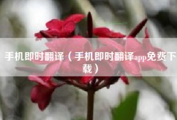 手机即时翻译（手机即时翻译app免费下载）
