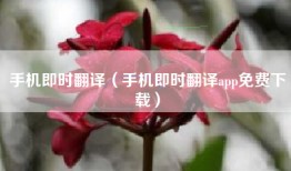 手机即时翻译（手机即时翻译app免费下载）