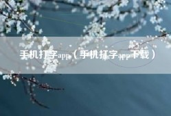 手机打字app（手机打字app下载）