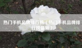 热门手机品牌排行榜（热门手机品牌排行榜最新）