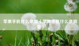 苹果手机什么录屏（苹果手机什么录屏幕）
