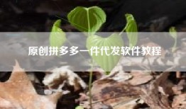 原创拼多多一件代发软件教程