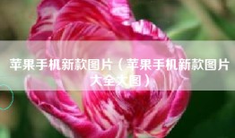 苹果手机新款图片（苹果手机新款图片大全大图）