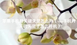 苹果手机开关键失灵怎么办（vivo手机开关键失灵了怎么开机）