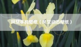 风女手机壁纸（风女动态壁纸）
