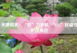天津税务：“税”力护航 “3.15”权益守护在身边