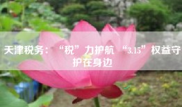 天津税务：“税”力护航 “3.15”权益守护在身边