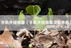 手机外接屏幕（手机外接屏幕没有声音）