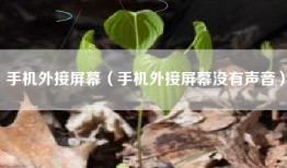 手机外接屏幕（手机外接屏幕没有声音）