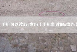 手机可以读取u盘吗（手机能读取u盘吗）