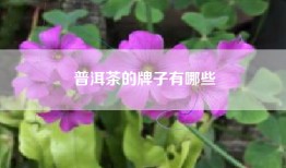 普洱茶的牌子有哪些
