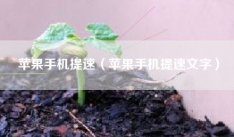 苹果手机提速（苹果手机提速文字）