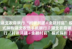 湖北农商银行“村银共建+金融村官”模式探析湖北农信手机银行「湖北农商银行“村银共建+金融村官”模式探析」
