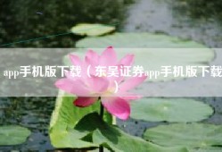 app手机版下载（东吴证券app手机版下载）