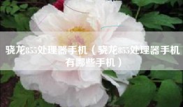骁龙855处理器手机（骁龙855处理器手机有哪些手机）
