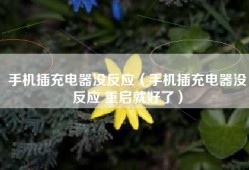 手机插充电器没反应（手机插充电器没反应 重启就好了）