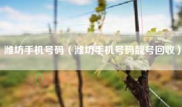 潍坊手机号码（潍坊手机号码靓号回收）