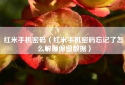 红米手机密码（红米手机密码忘记了怎么解锁保留数据）