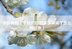 手机剪切（手机剪切的文字不见了怎么找回来）