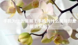 手机为什么黑屏（手机为什么黑屏但是能听见响）