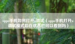 oppo手机如何打开u调试（oppo手机打开u调试模式后在状态栏可以看到吗）