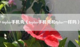 6splus手机壳（6splus手机壳和8plus一样吗）