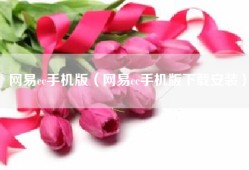 网易cc手机版（网易cc手机版下载安装）