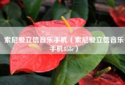 索尼爱立信音乐手机（索尼爱立信音乐手机858c）