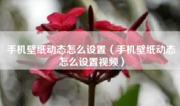 手机壁纸动态怎么设置（手机壁纸动态怎么设置视频）