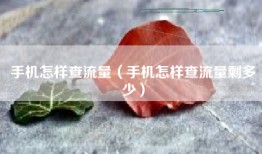 手机怎样查流量（手机怎样查流量剩多少）