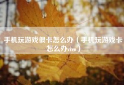 手机玩游戏很卡怎么办（手机玩游戏卡怎么办vivo）