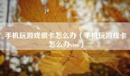 手机玩游戏很卡怎么办（手机玩游戏卡怎么办vivo）