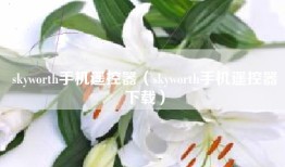 skyworth手机遥控器（skyworth手机遥控器下载）