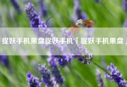 捉妖手机果盘捉妖手机「捉妖手机果盘」