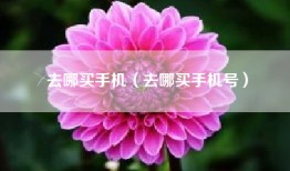 去哪买手机（去哪买手机号）