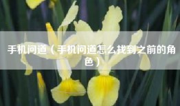 手机问道（手机问道怎么找到之前的角色）