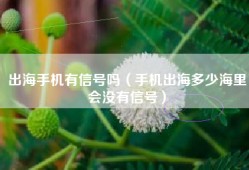 出海手机有信号吗（手机出海多少海里会没有信号）