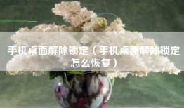 手机桌面解除锁定（手机桌面解除锁定怎么恢复）