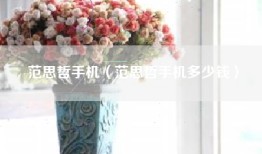 范思哲手机（范思哲手机多少钱）