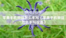 苹果手机微信怎么手写（苹果手机微信怎么手写设置）