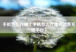 手机怎么代理（手机怎么代理充话费充值平台）