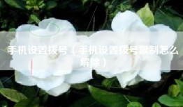 手机设置拨号（手机设置拨号限制怎么解除）