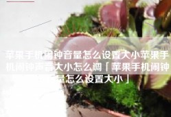 苹果手机闹钟音量怎么设置大小苹果手机闹钟声音大小怎么调「苹果手机闹钟音量怎么设置大小」