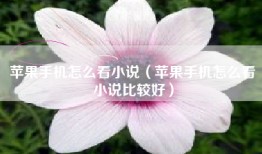 苹果手机怎么看小说（苹果手机怎么看小说比较好）