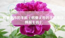 将要上市的手机（将要上市的手机排行榜前十名）
