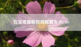 在宝塔面板如何配置友点CMS