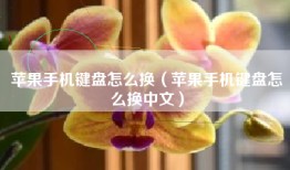 苹果手机键盘怎么换（苹果手机键盘怎么换中文）