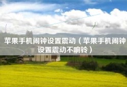 苹果手机闹钟设置震动（苹果手机闹钟设置震动不响铃）