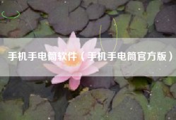 手机手电筒软件（手机手电筒官方版）